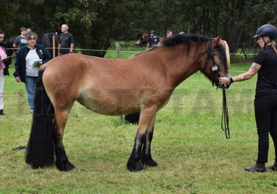 Profilbild