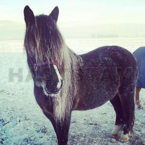 Profilbild