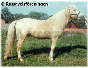 Profilbild