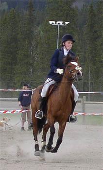 Profilbild