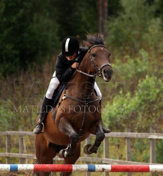 Profilbild