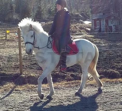 Profilbild