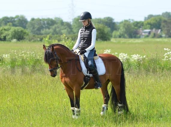Profilbild
