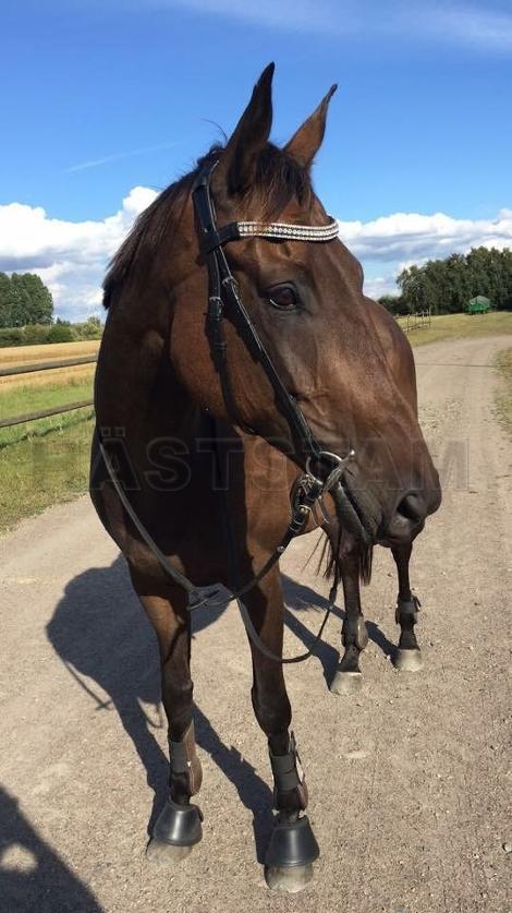 Profilbild