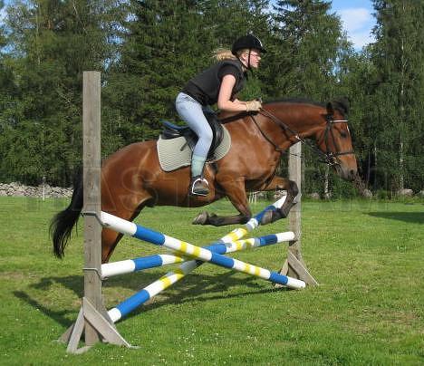 Profilbild