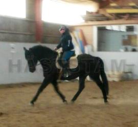Profilbild