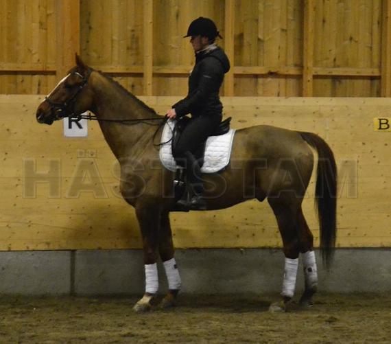 Profilbild