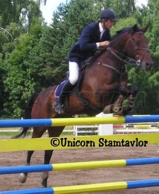 Profilbild