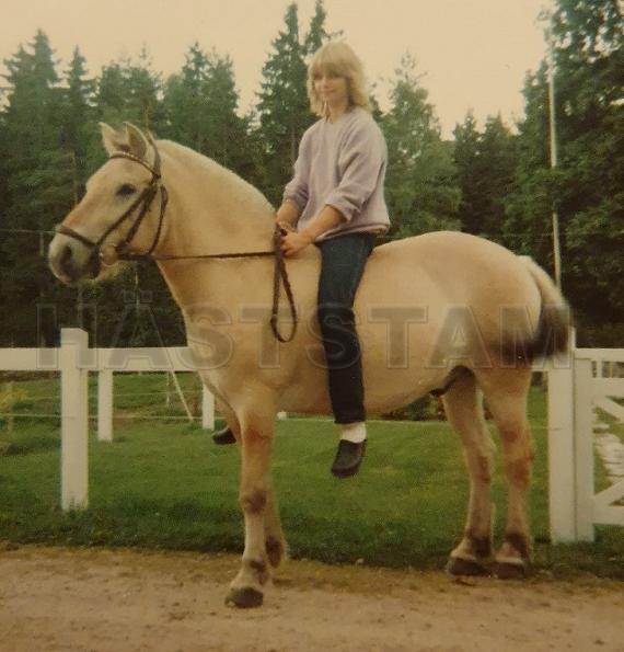 Profilbild