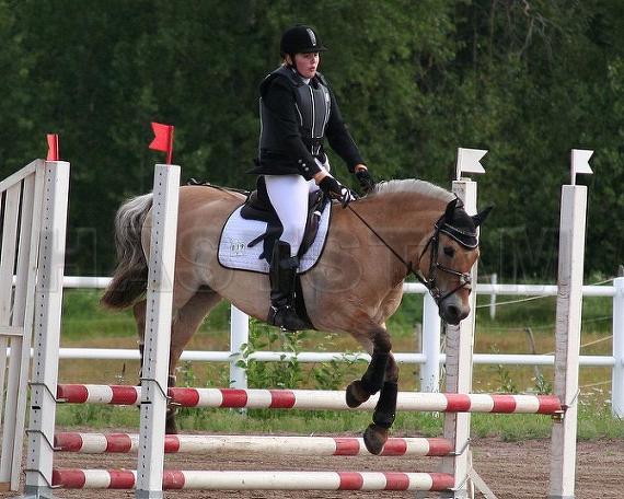 Profilbild