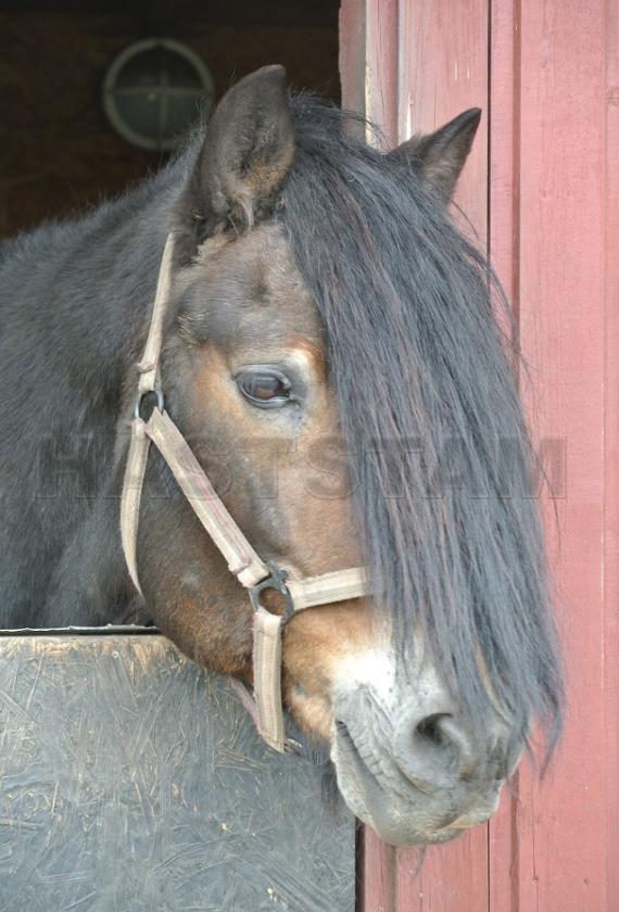 Profilbild
