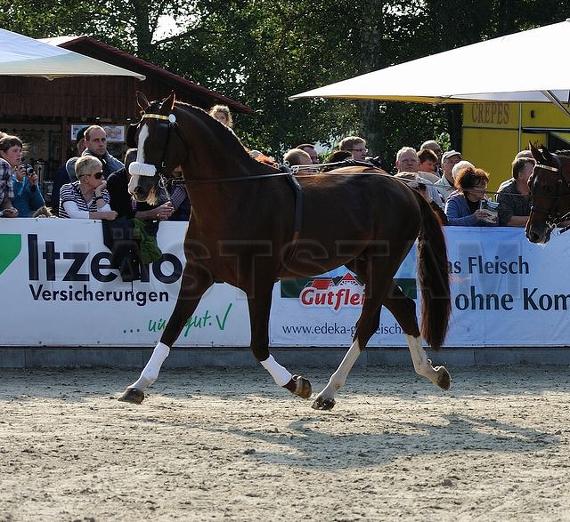 Profilbild