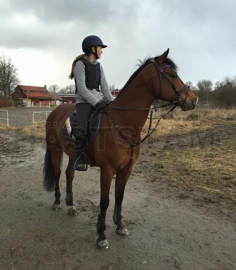 Profilbild