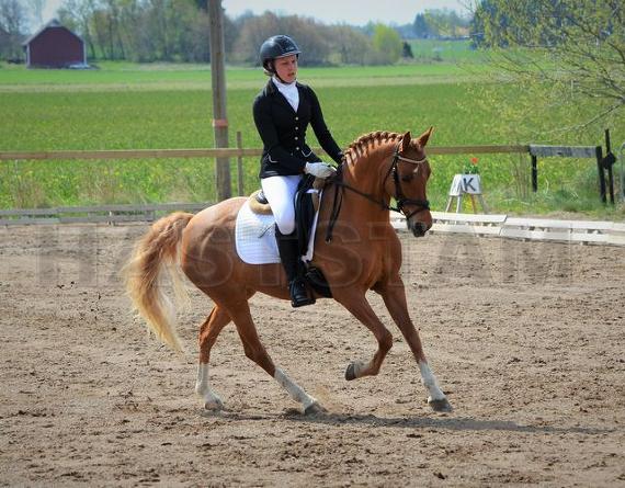 Profilbild