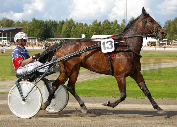 Profilbild