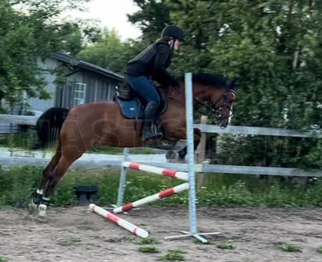 Profilbild