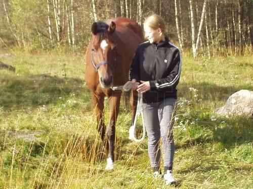 Profilbild