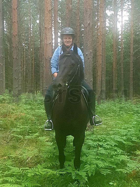 Profilbild