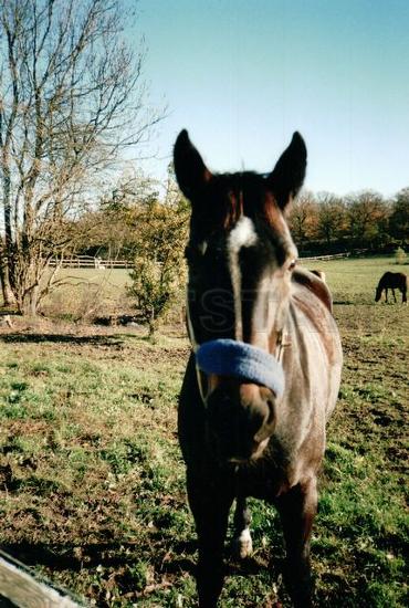 Profilbild