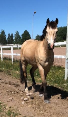 Profilbild