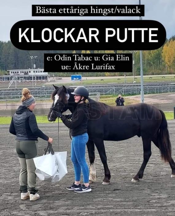 Profilbild