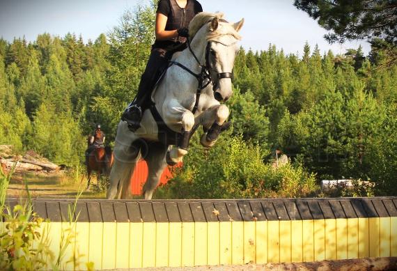 Profilbild