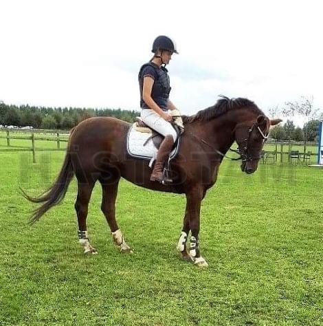 Profilbild
