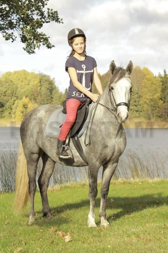Profilbild