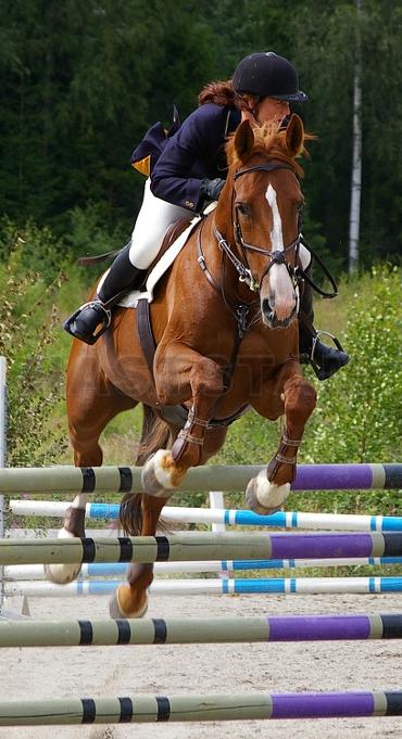 Profilbild
