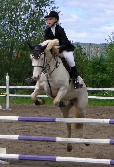 Profilbild