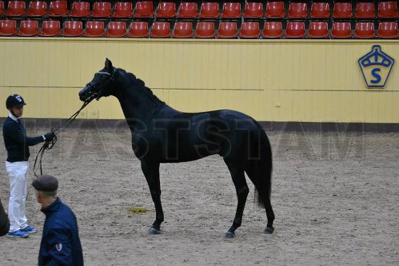 Profilbild