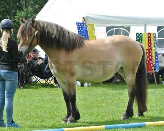 Profilbild