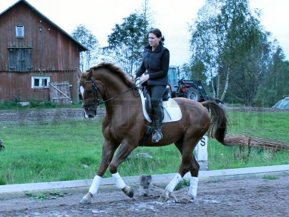 Profilbild