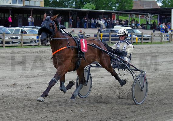 Profilbild