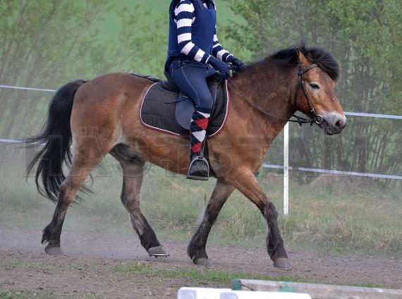 Profilbild