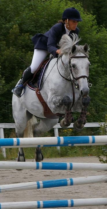 Profilbild