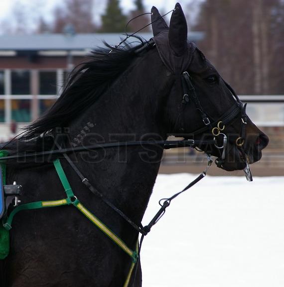 Profilbild