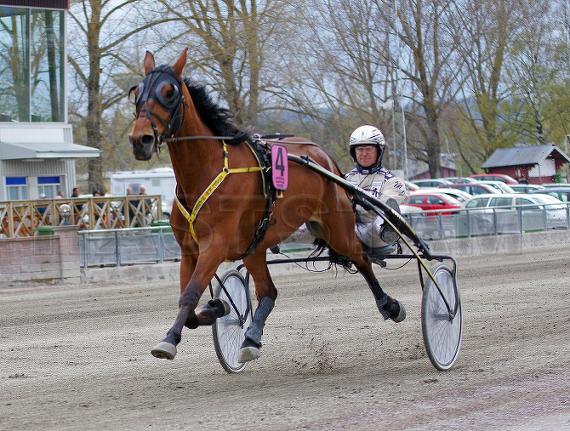 Profilbild