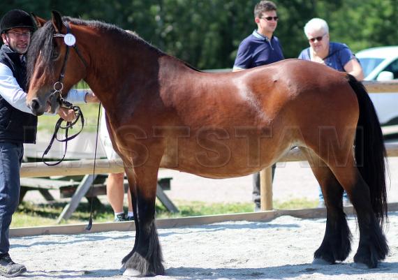 Profilbild