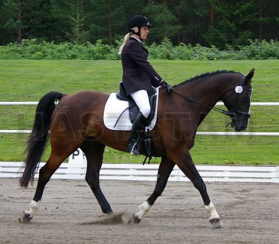 Profilbild