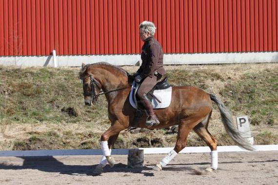Profilbild