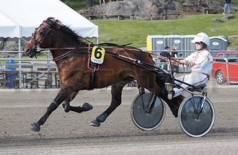 Profilbild