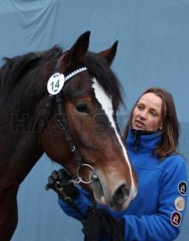 Profilbild