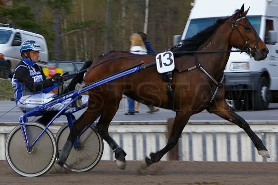 Profilbild
