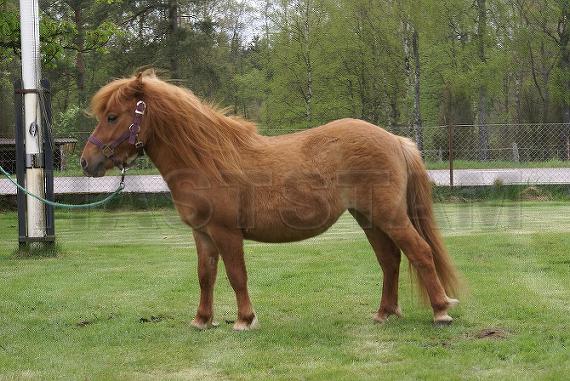 Profilbild