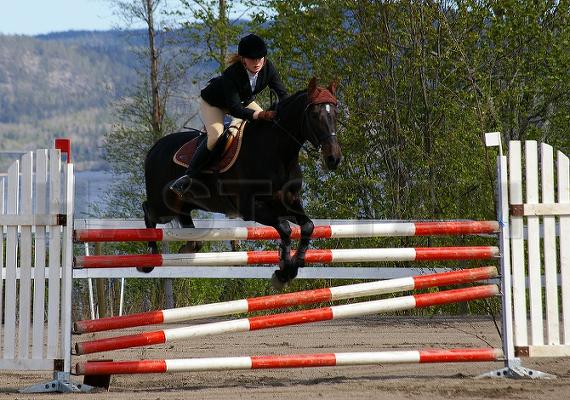 Profilbild
