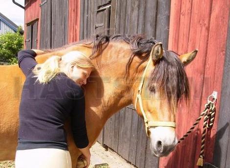 Profilbild