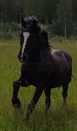 Profilbild