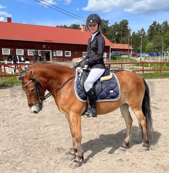 Profilbild