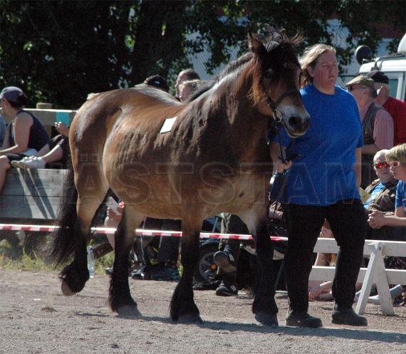 Profilbild